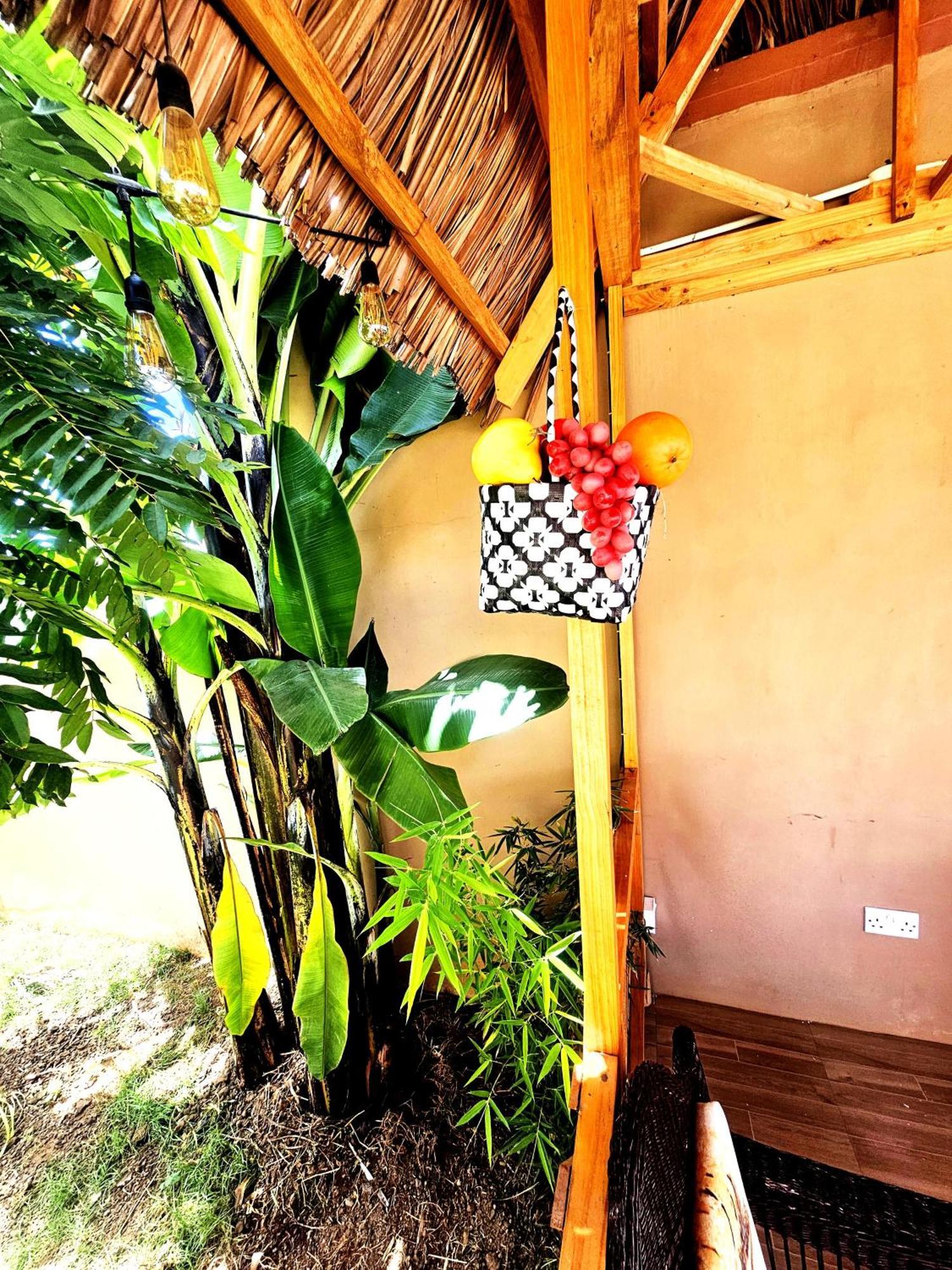 Bed and Breakfast Safi House Boma la Ngombe Exterior foto